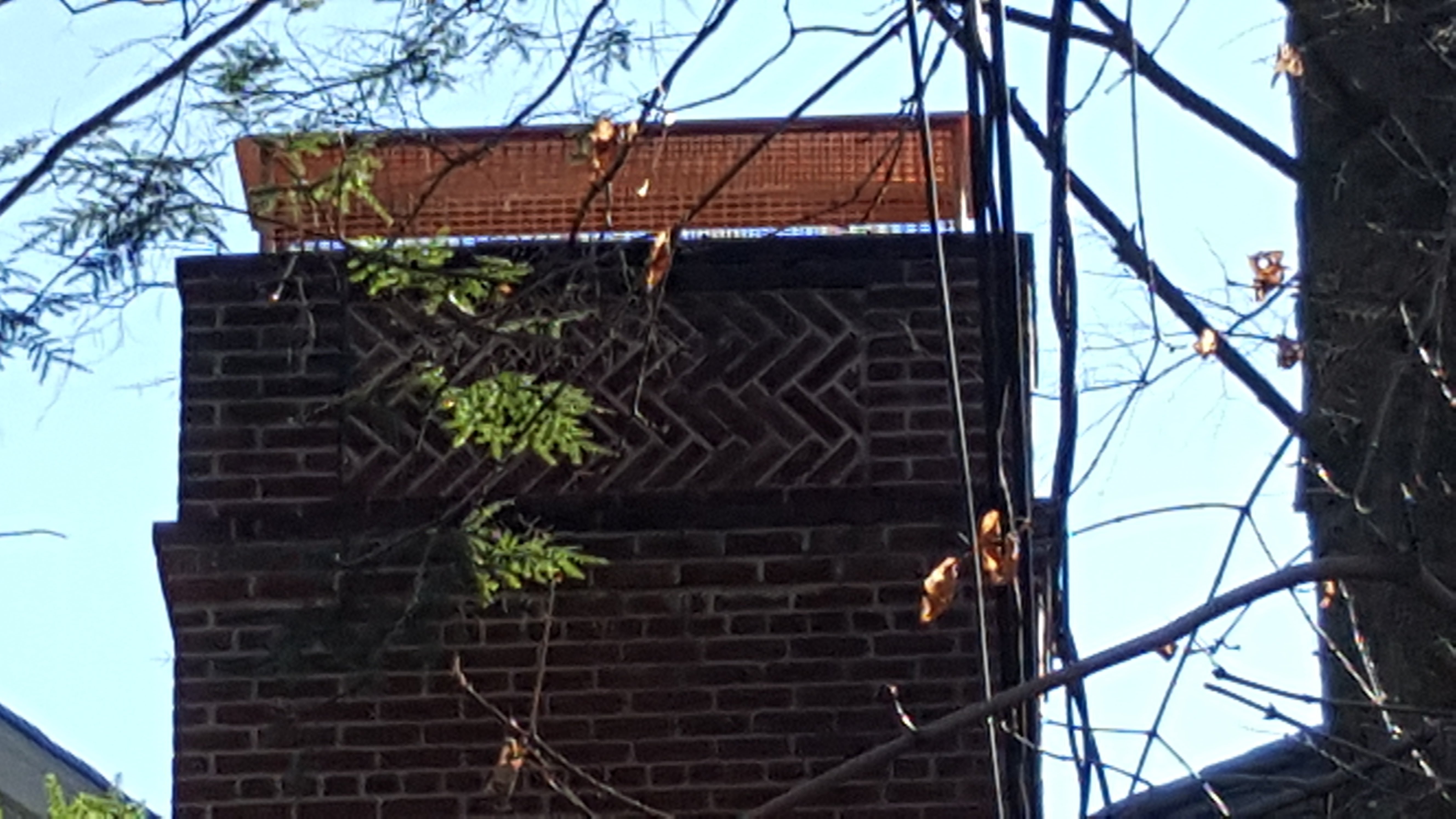 Animal-proof chimney cap protecting home in East Hampton, New York